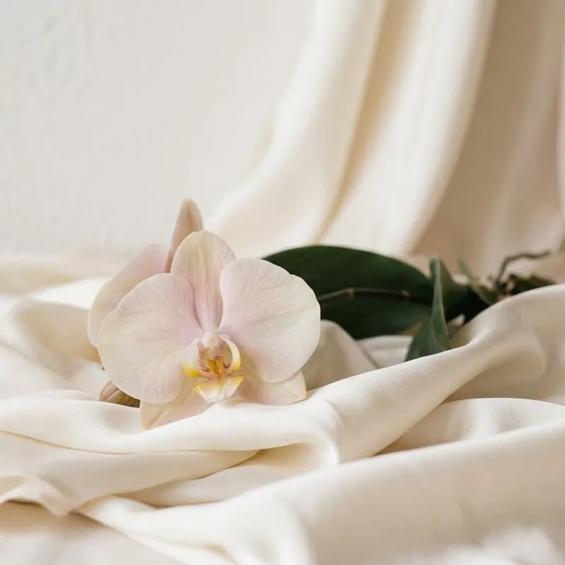 Thu hẹp âm đạo và thu môi bé: Những lợi ích về sức khỏe và thẩm mỹ